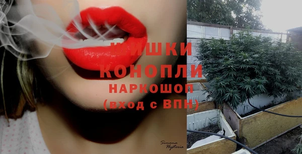 крисы Балахна