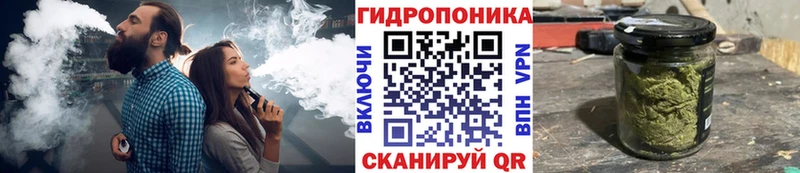 Канабис OG Kush  даркнет сайт  Семёнов 